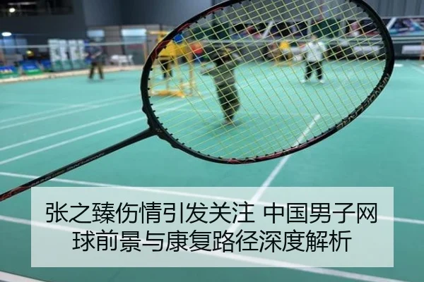 张之臻伤情引发关注 中国男子网球前景与康复路径深度解析