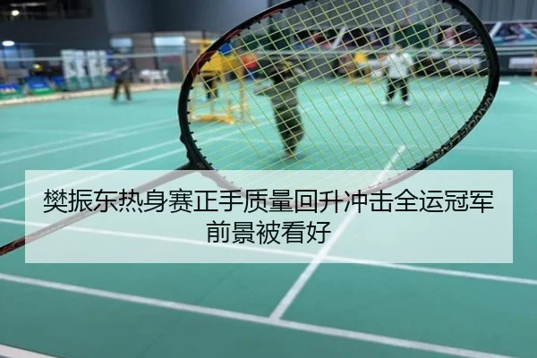 樊振东热身赛正手质量回升冲击全运冠军前景被看好